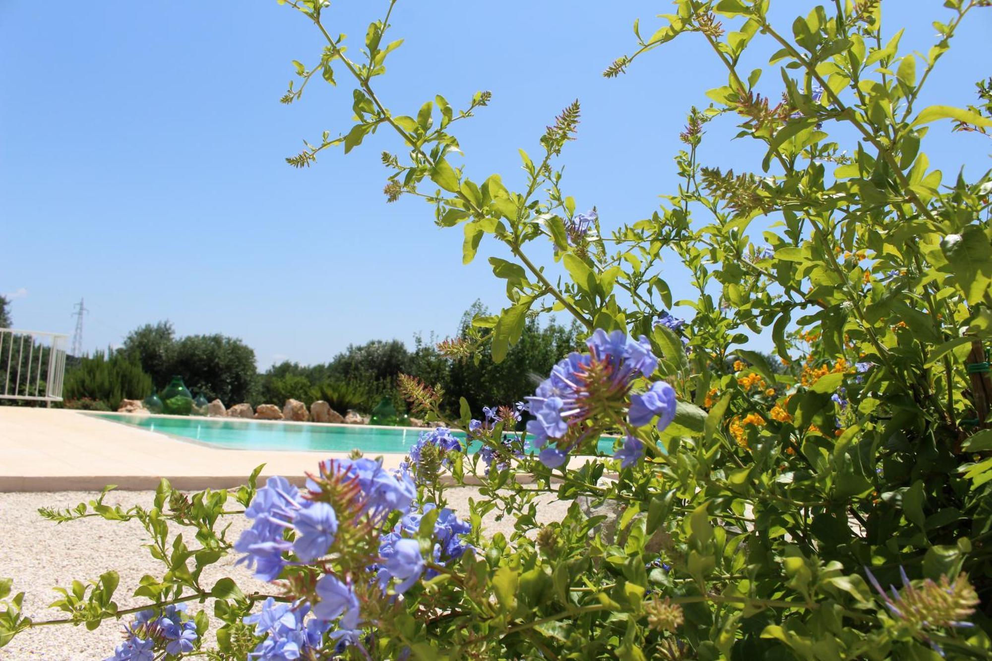Trullo Il Melograno Pension Ostuni Buitenkant foto