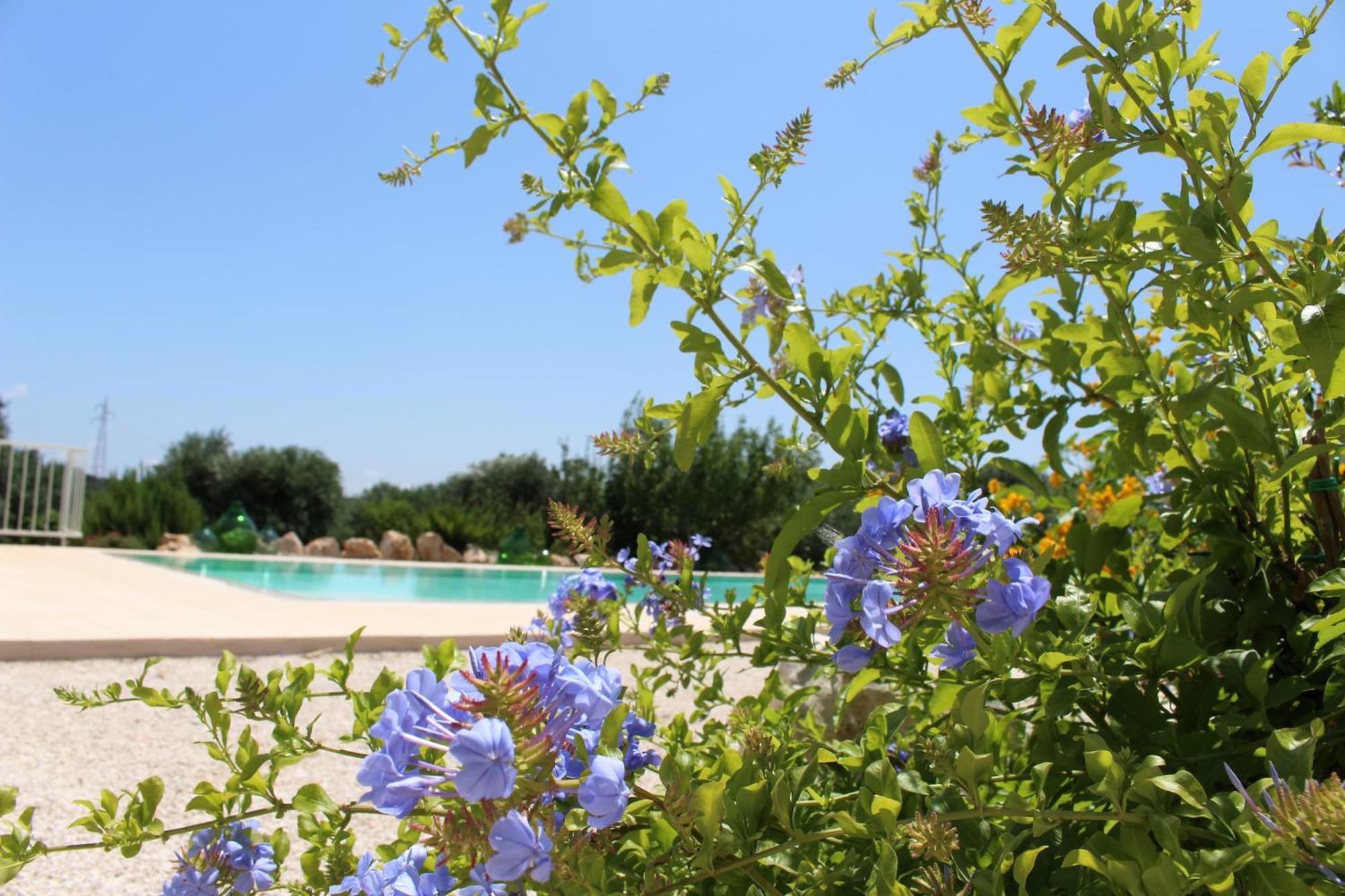 Trullo Il Melograno Pension Ostuni Buitenkant foto