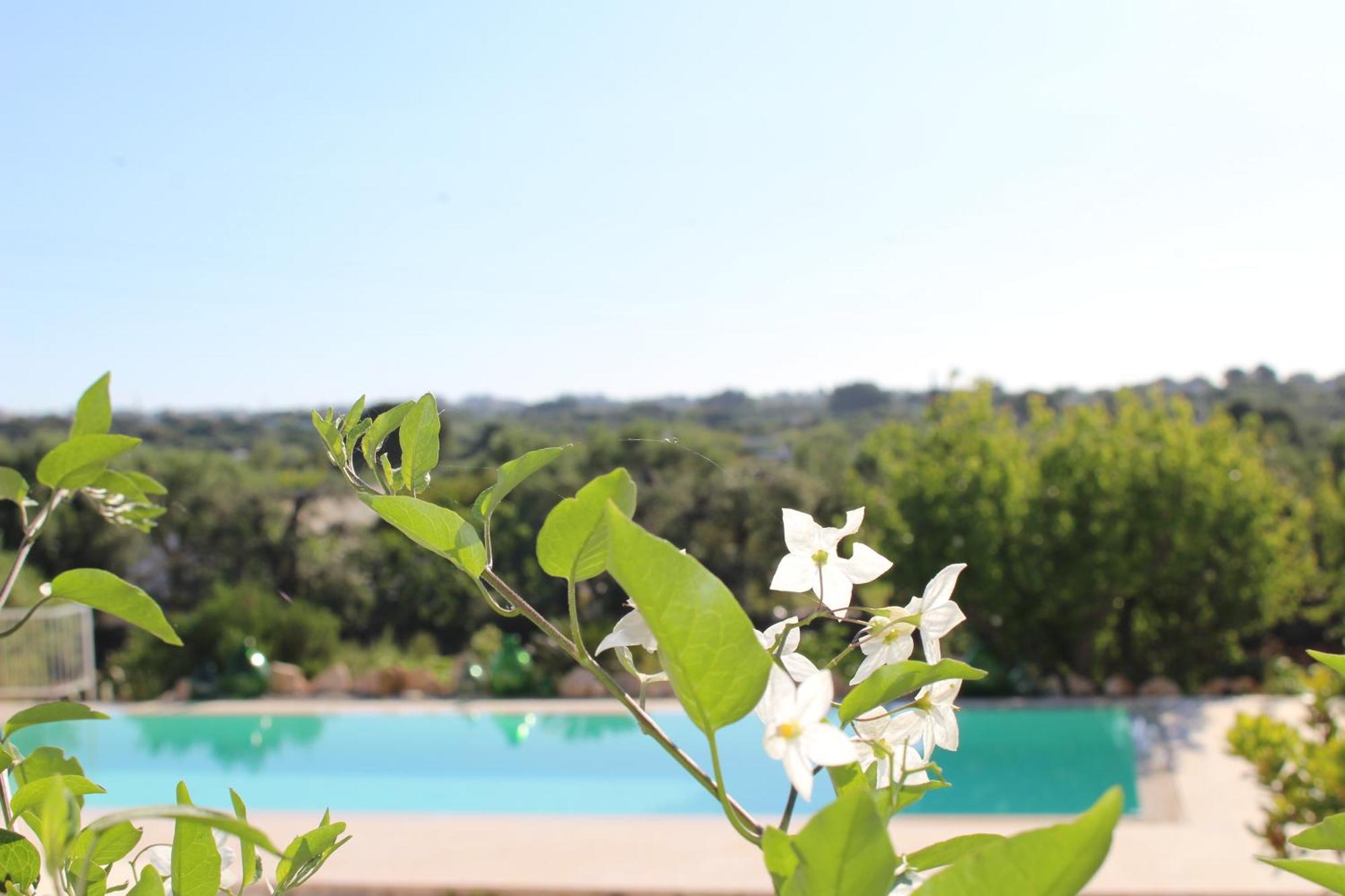 Trullo Il Melograno Pension Ostuni Buitenkant foto