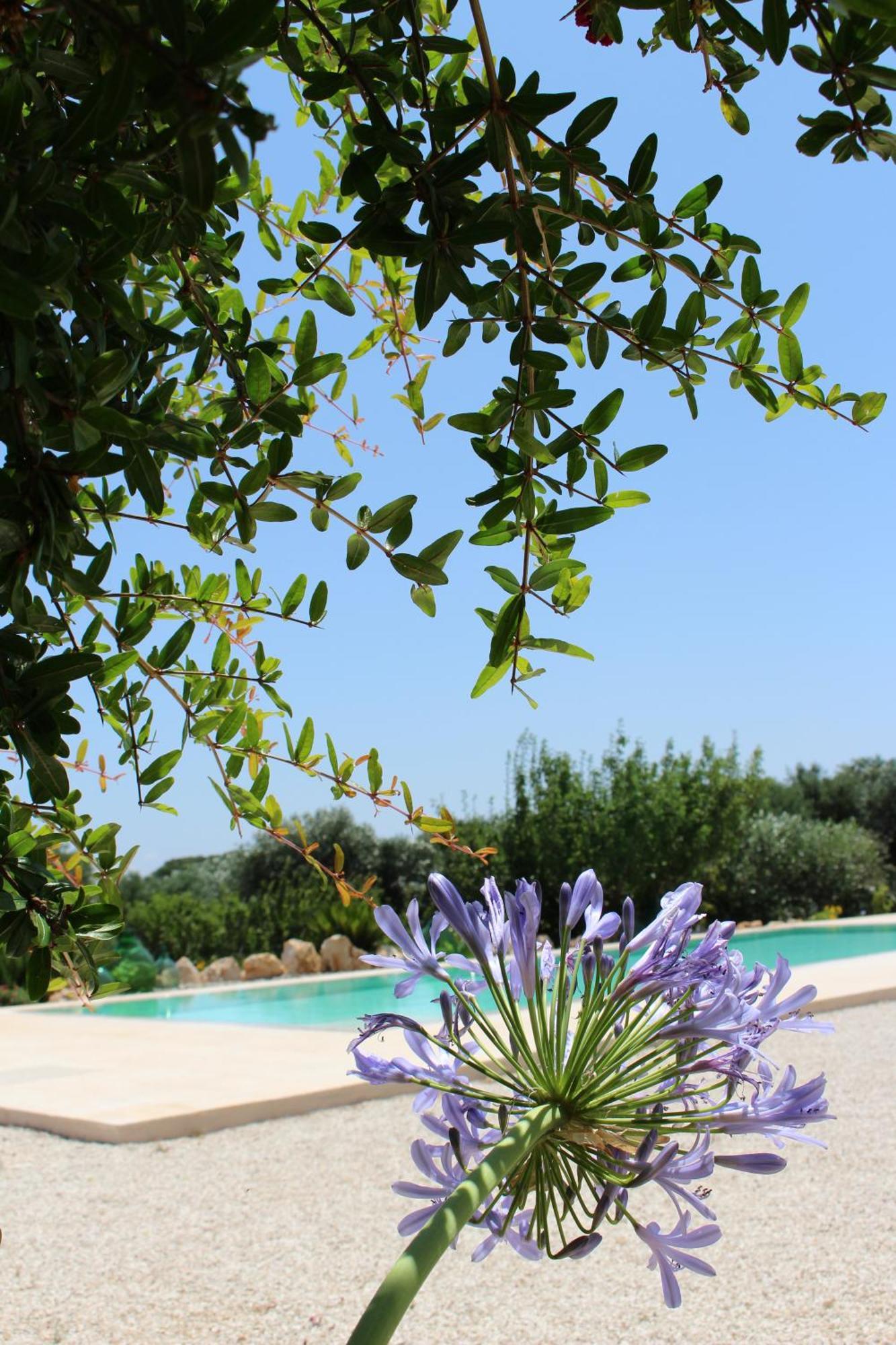 Trullo Il Melograno Pension Ostuni Buitenkant foto