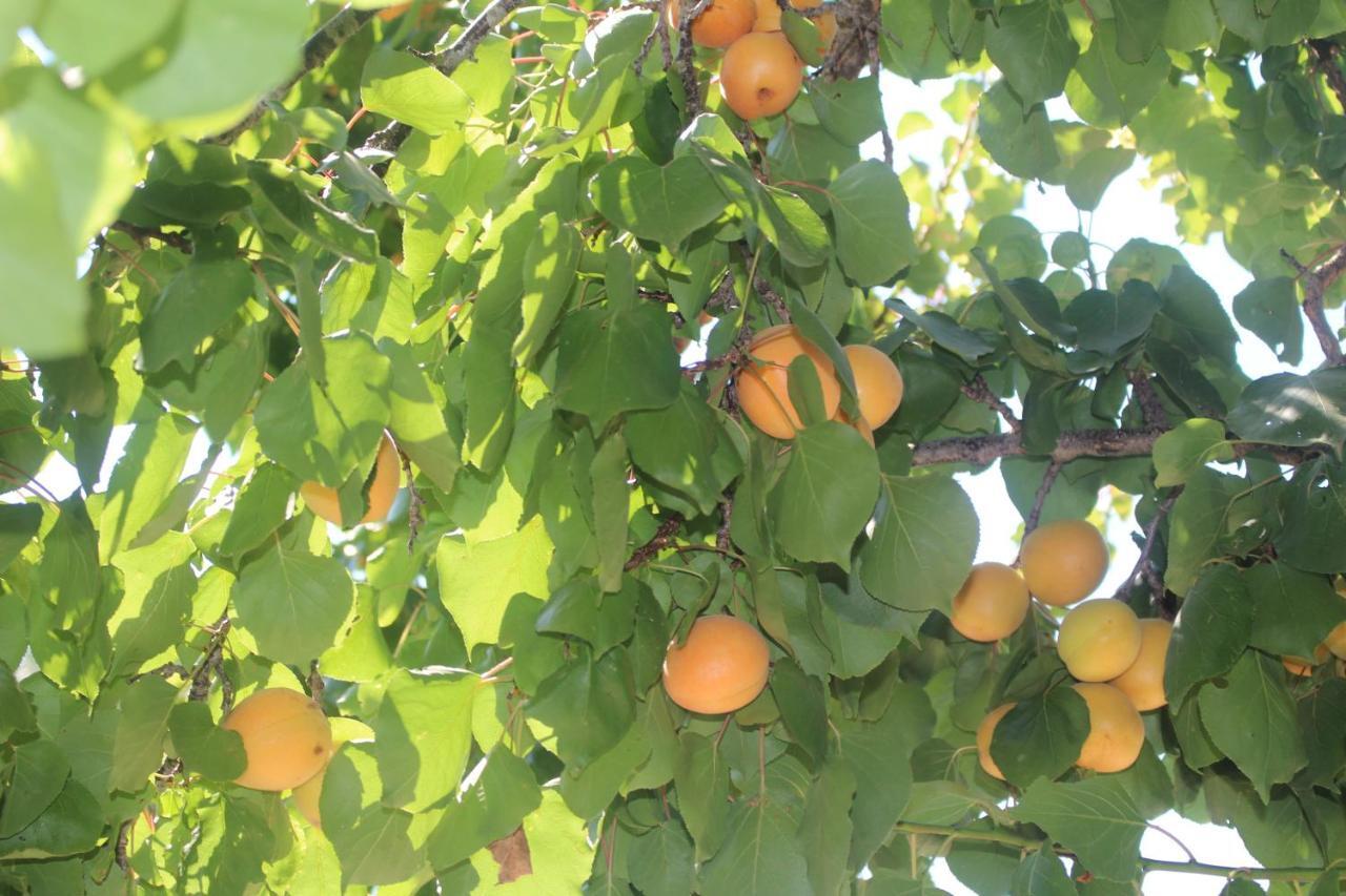 Trullo Il Melograno Pension Ostuni Buitenkant foto